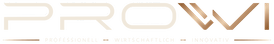 ProWI GmbH, Professionell, Wirtschaftlich, Innovativ
